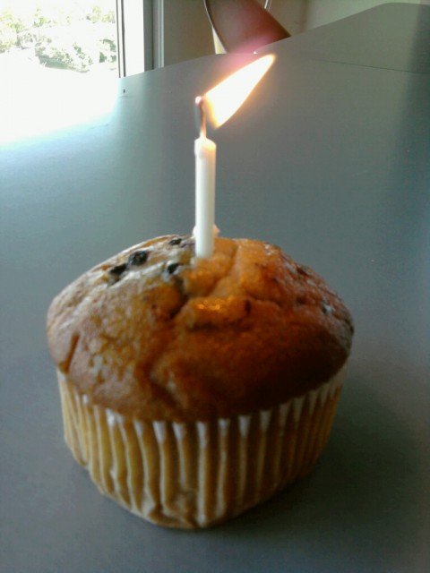 muffin
